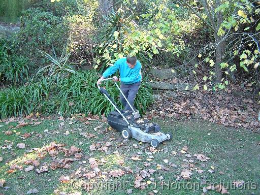Autumn leaves Mowing_2 
